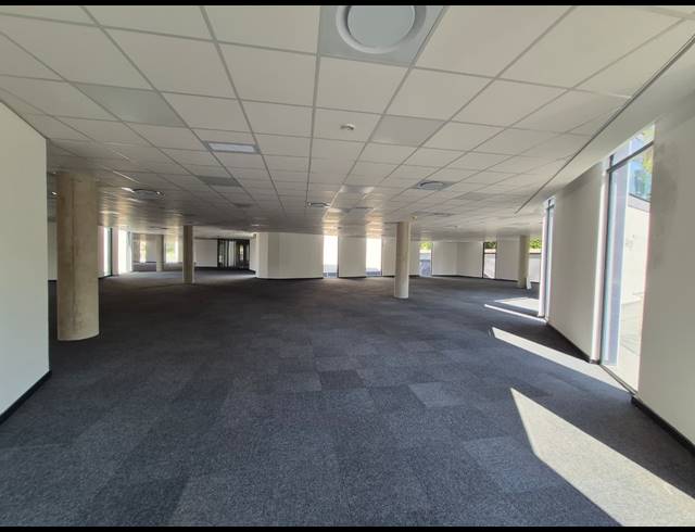 1,600M² OFFICE TO LET IN SANDTON CENTRAL